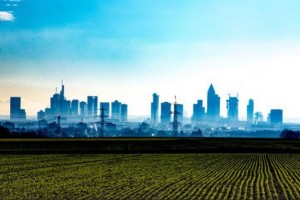 탄소중립 시대, 도시농업의 역할은?