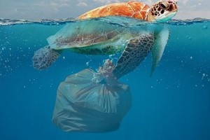 "해양 플라스틱 쓰레기 20%는 잃어버린 낚시 장비"