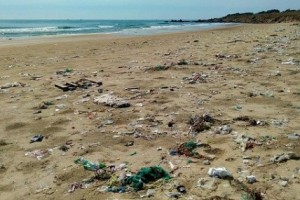 [국감 이슈] "5년간 해양쓰레기로 인한 어획손실 무려 1조8670억"