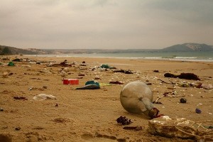 [국감 이슈] "전국 항만·해역 해양쓰레기 무려 1만2569톤"